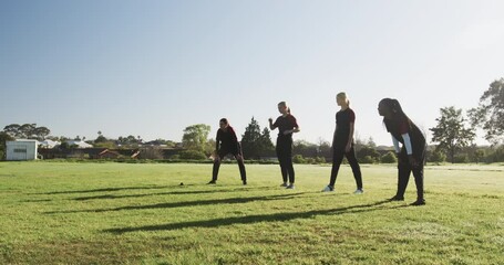 Playing cricket outdoors, women in sportswear enjoying sunny day together - Powered by Adobe