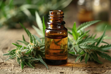 glass bottle with natural oil surrounded by green plant leaves. 