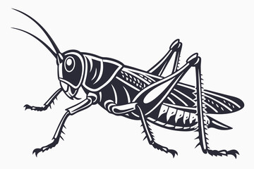 black color line art Grasshopper Silhouette white background F.eps