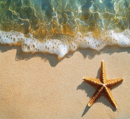 Abstract summer tropical holidays banner; sandy beach and wave on the edge of clear water- starfish...