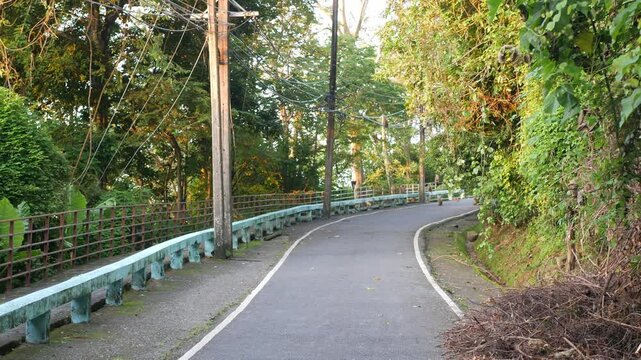 landscape view of local road on the Monkey Hill in Phuket town with group of mankeys on the floor relaxing in daytime, natural animals in tropical rain forest famous tourist attraction area in Phuket