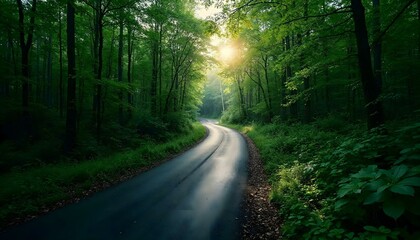 A calm road extends through a flourishing forest, with sunlight pouring through the foliage overhead