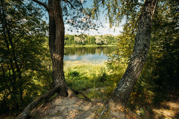 Summer River Landscape Lake. Trees Reflections In Water. Nature Reserve. Nature Lake River Background