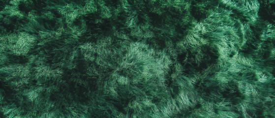 Vibrant light green grass texture ideal for nature backgrounds and design projects