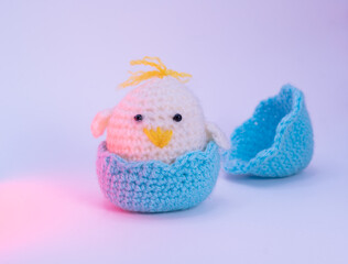 Cute white chicken out of the blue egg on pink lighting