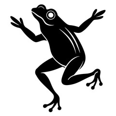 frog on white background