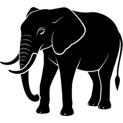 elephant isolated on white