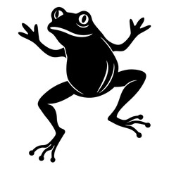 frog on a white