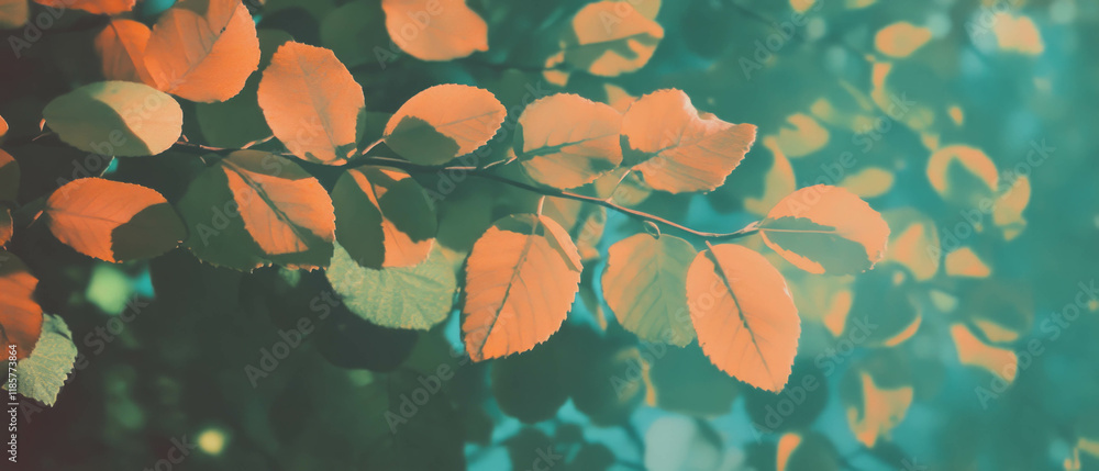 Poster stylized leaves with subtle texture create a natural and organic atmosphere