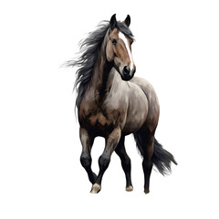 Fototapeta premium Wild Horse Clipart Vector Illustration