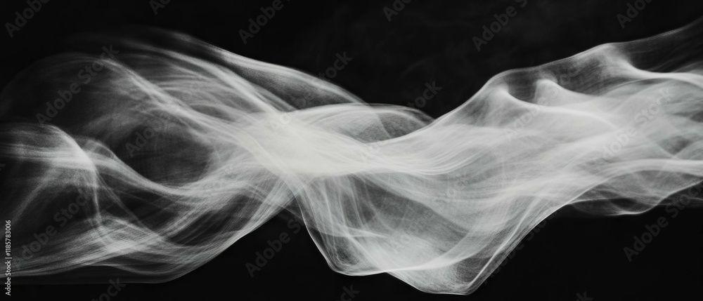 Poster Flowing lines and curves create an elegant X-ray texture with a graceful movement