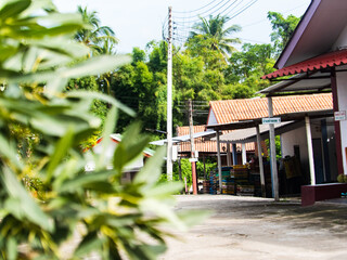 Daily Rental Guesthouse Exterior View