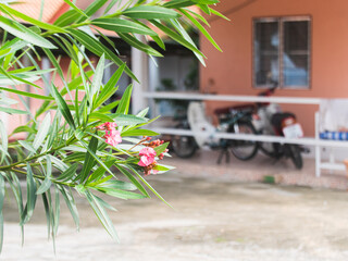 Daily Rental Guesthouse Exterior View