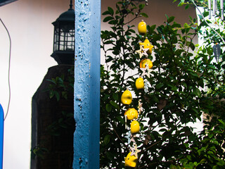 Daily Rental Guesthouse Exterior View