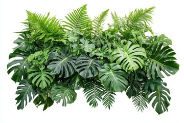 Lush Green Tropical Foliage Arrangement Isolated