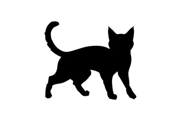  Beautiful cat illustration - editable vector file,Black cat sketch - high-resolution vector