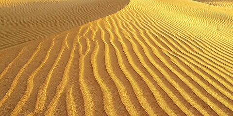 Golden sands of the desert showcase the beauty of untouched wild nature, featuring barchans and sand dunes. This high resolution image captures the stunning background and texture of the desert.