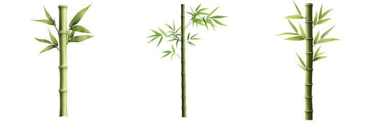 Fototapeta premium Lifelike bamboo stalks with vibrant green leaves, perfect for nature themes