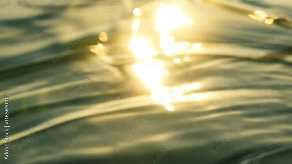 Poster back light video zooms in on a single, perfect sycamore leaf creating a slightly distorted, mirror-l