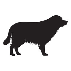 Vector silhouette of dog, dog breed black silhouette logo , icon, 