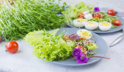 Healthy salad with lettuce, cherry tomatoes, mozzarella cheese and microgreens, on a plate, light background