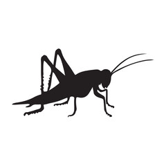 Silhouette grasshopper Insect animal black vector illustration ,Grasshopper silhouette vector illustration, Bugs Vector Silhouette