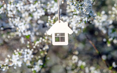 symbol of the house among the white cherry blossoms
