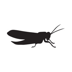 Silhouette grasshopper Insect animal black vector illustration ,Grasshopper silhouette vector illustration, Bugs Vector Silhouette
