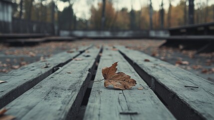 Single dry leaf on weathered wooden planks, autumn scene.