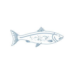 Make a Professional Fish Vector Art And Graphics