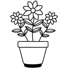 flower in a pot