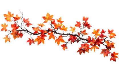 Vibrant Autumn Leaves on Branch Isolated on White Background for Seasonal and Nature-Themed Designs