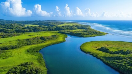 Obraz premium Aerial view of lush green coastal wetlands.