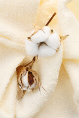 a cotton pod on a towel textile background 