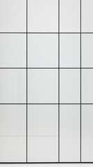 Minimalist White Grid Wall with Black Lines Creating a Modern Geometric Pattern in a Contemporary Interior Design Setting