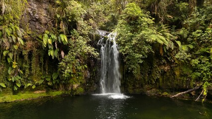 Aerial view of Pudding Basin Falls in New Zealand with lush greenery