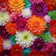 Flowers wall background with amazing red,orange,pink,purple,green and white chrysanthemum flowers ,Wedding decoration, hand made Beautiful flower wall backgroun blue