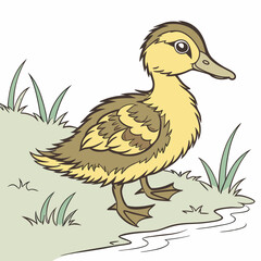 duck and ducklings