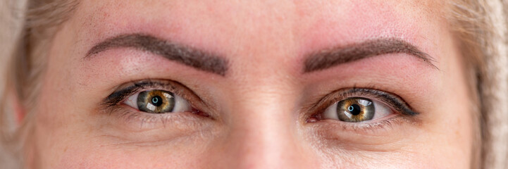 Fototapeta premium Eyebrow tattooing or microblading in a professional eyebrow salon. Beauty enhancement, and a relaxing salon experience for perfect brows