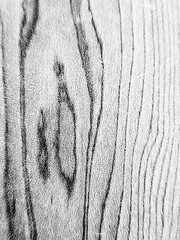 exotic lines of wood texture