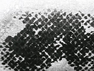 Paint stroke pattern on canvas