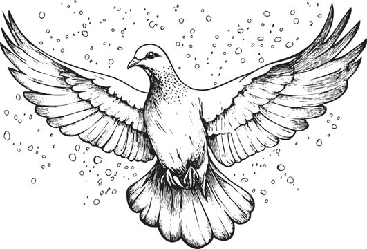 Black and white sketch of a flying dove with detailed wings.