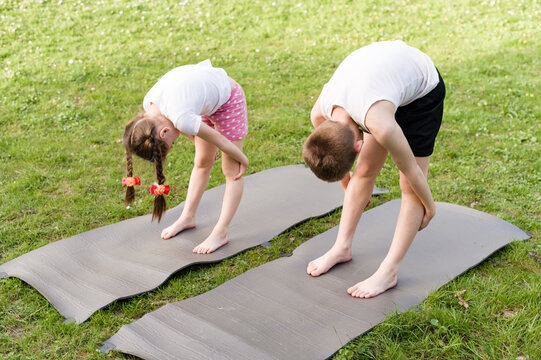 Two children perform a forward bend stretch on individual yoga mats in a grassy park. A healthy and active outdoor workout. - Powered by Adobe