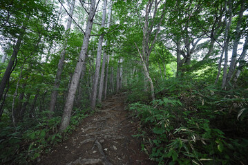 Climbing Mt. Aizu-Komagatake, Fukushima