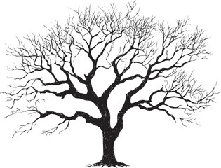 Fototapeta premium Silhouette of a leafless tree with intricate branching pattern.