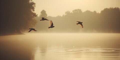 Four birds in graceful flight over a tranquil lake at sunrise, their silhouettes etched against a misty golden sky. A serene moment of nature's beauty.