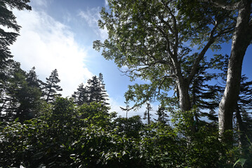 Climbing Mt. Aizu-Komagatake, Fukushima