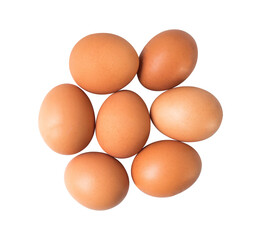 top view of chicken eggs isolated on white background