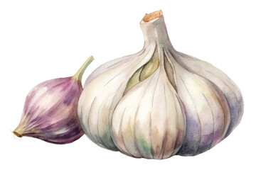 Obraz premium Fresh garlic bulb, vibrant watercolor style, culinary ingredient, healthy cooking, organic produce, kitchen decor.