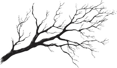 Obraz premium Black and white silhouette of a tree branch with intricate details.